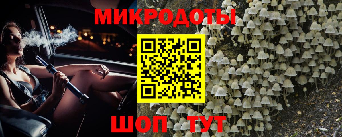 Псилоцибиновые грибы Psilocybe  Вход с VPN  Галлюциногенные грибы GOLDEN TEACHER  Алексеевка 
